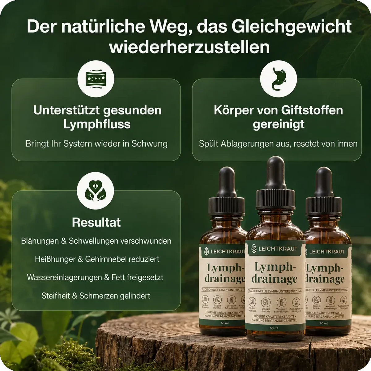 Lymora™ Pflanzliche Kräutertropfen für deine tägliche Wellness Routine
