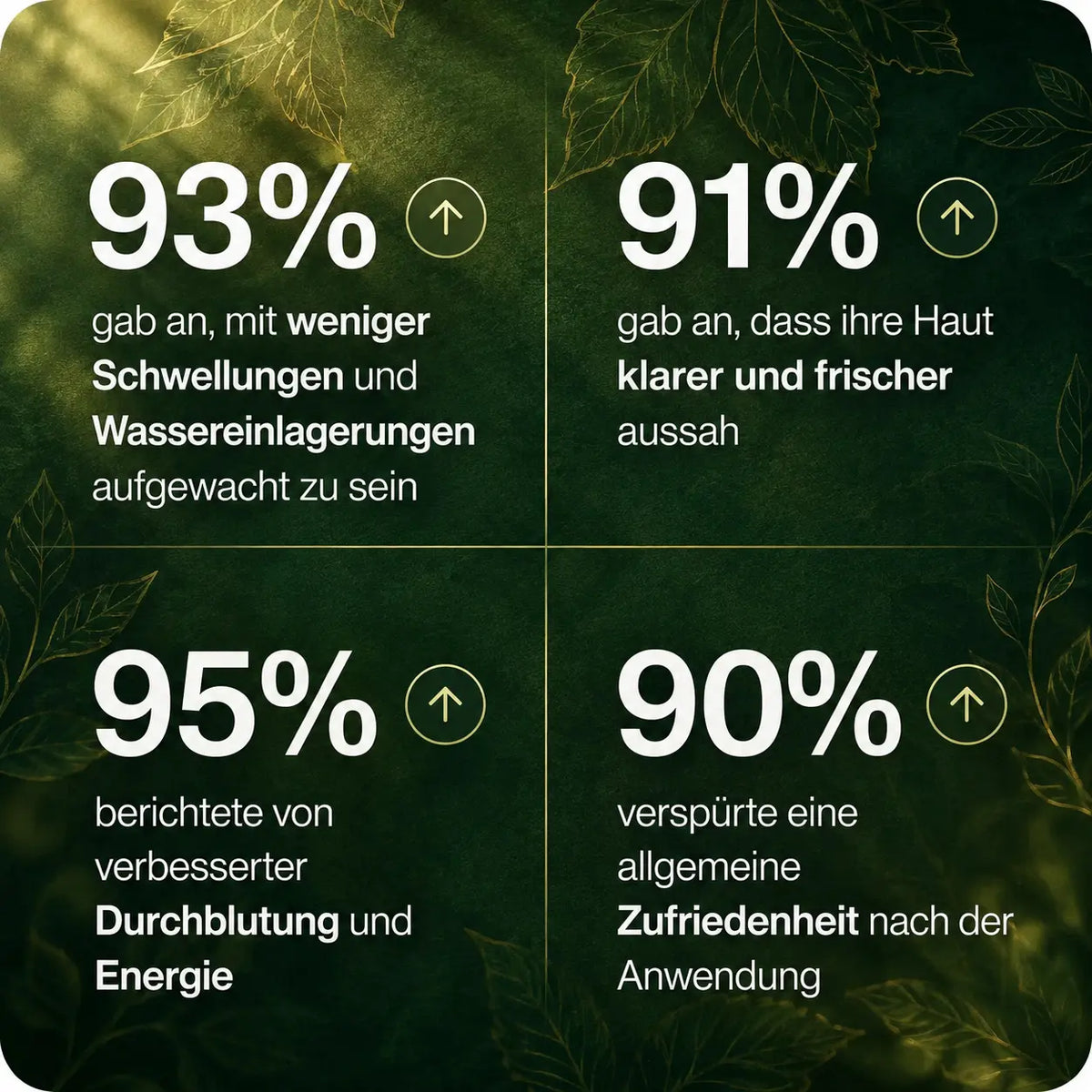 Lymora™ Pflanzliche Kräutertropfen für deine tägliche Wellness Routine