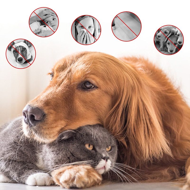 FreshPaw™ Geruchsentferner Spray für Haustiere und Zuhause